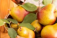 75 Fall Decor Ideas: Accent Wall Upgrades and Coastal Style Tips