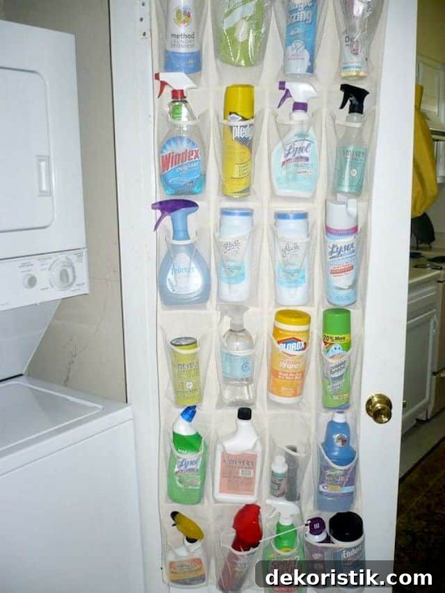 Cleaning supplies stored in a hanging shoe bag on a closet door