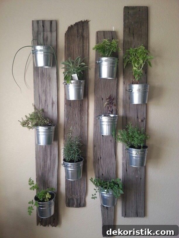 Wooden pallets on a wall with silver galvanized buckets growing herbs.