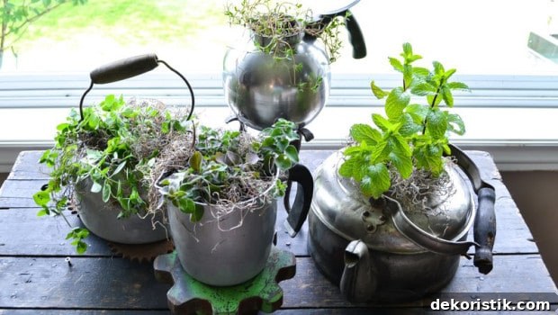 Plant herbs in old pots and kettles for an eye-catching display. A great way to use those old pots and containers that are laying around and gathering dust.