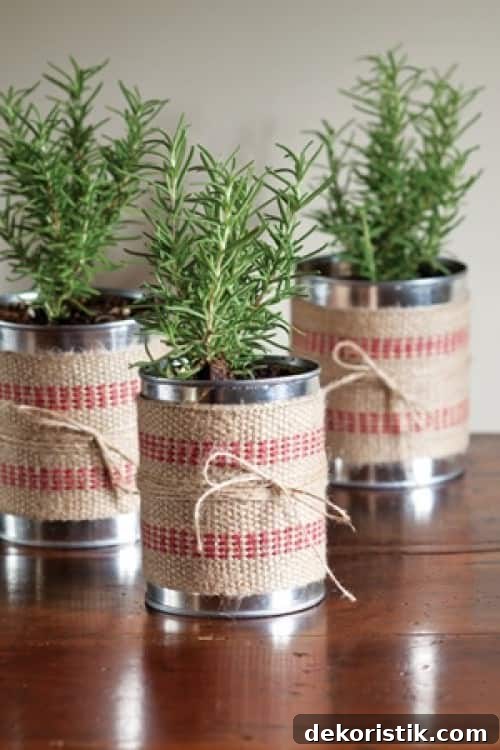 Plant herbs in cleaned tin cans wrapped with jute ribbon