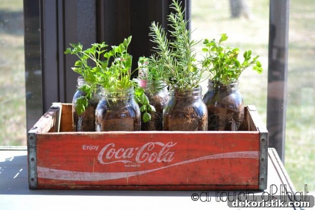 Plant herbs in mason jars and group together in a tray
