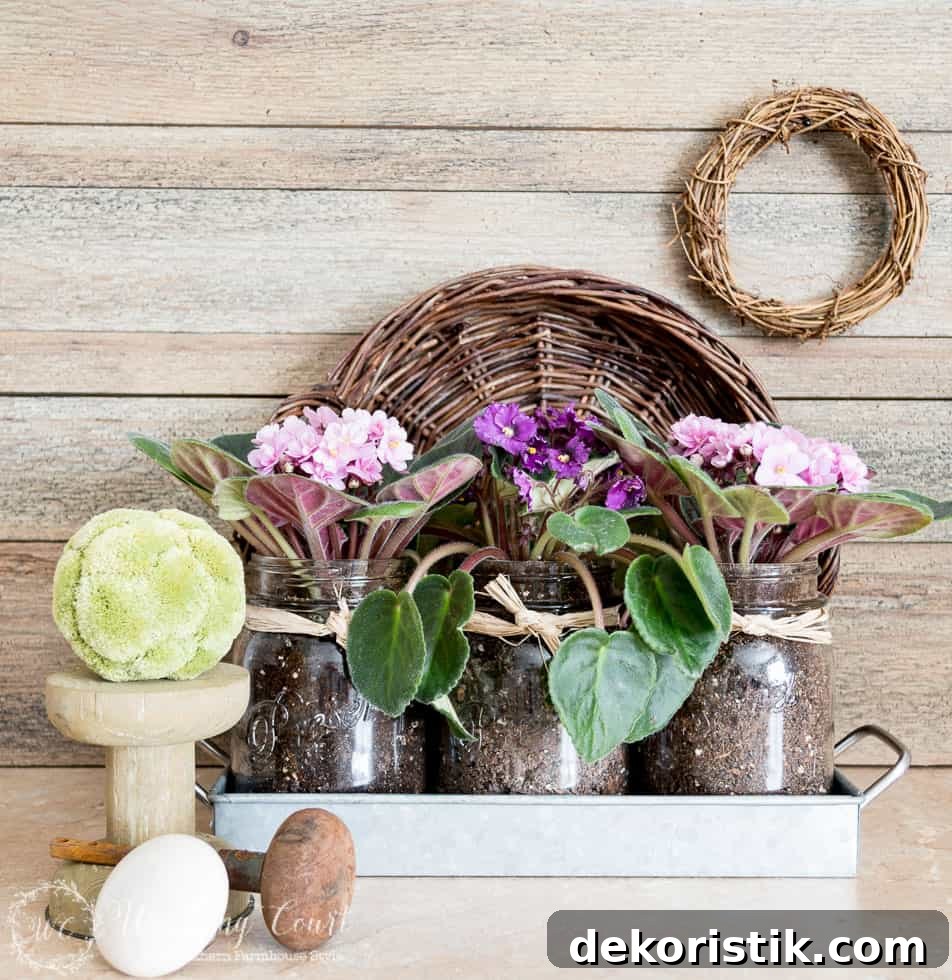 Fresh flowers have always been a favorite Mother's Day gift of mine, but sadly they fade quickly and the containers are often stashed away in a closet, never to be used again. I came up with a solution for those challenges though. A set of mason jars, that come nestled in a galvanized metal tray, make the perfect planters for some pretty violets.