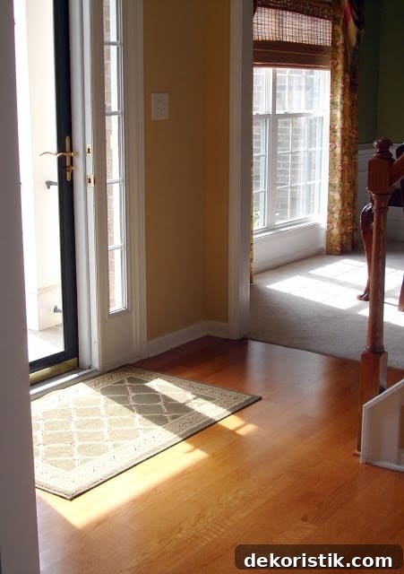 Sunlight streaming into foyer