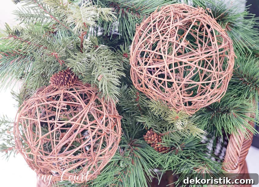 Up close picture of the grapevine orbs.