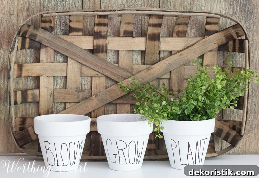Three pots and one has a plant inside them.