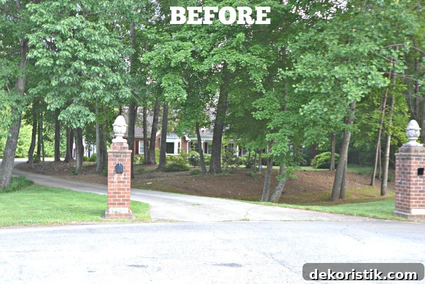 Overgrown landscaping before