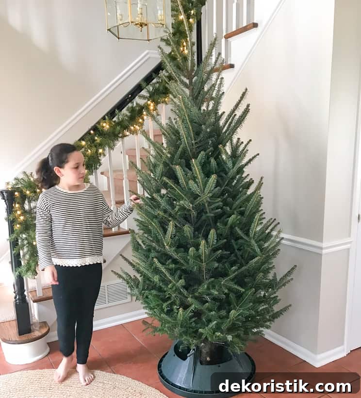 Live Christmas tree on front porch decorated with colorful ornaments and ribbon