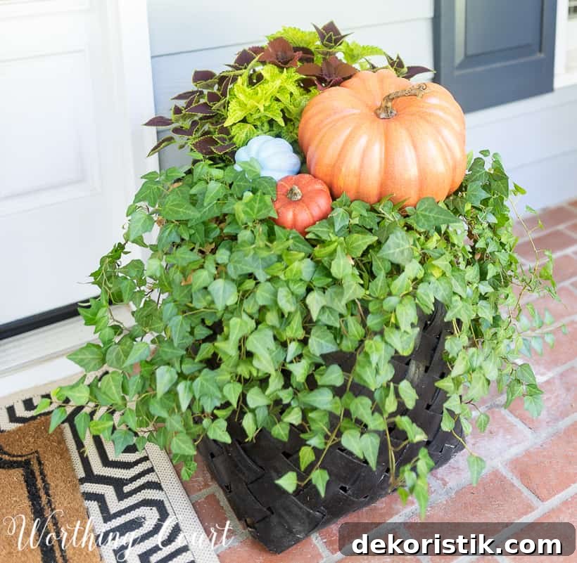 Basket with ivy decorated for fall with pumpkins and coleus.