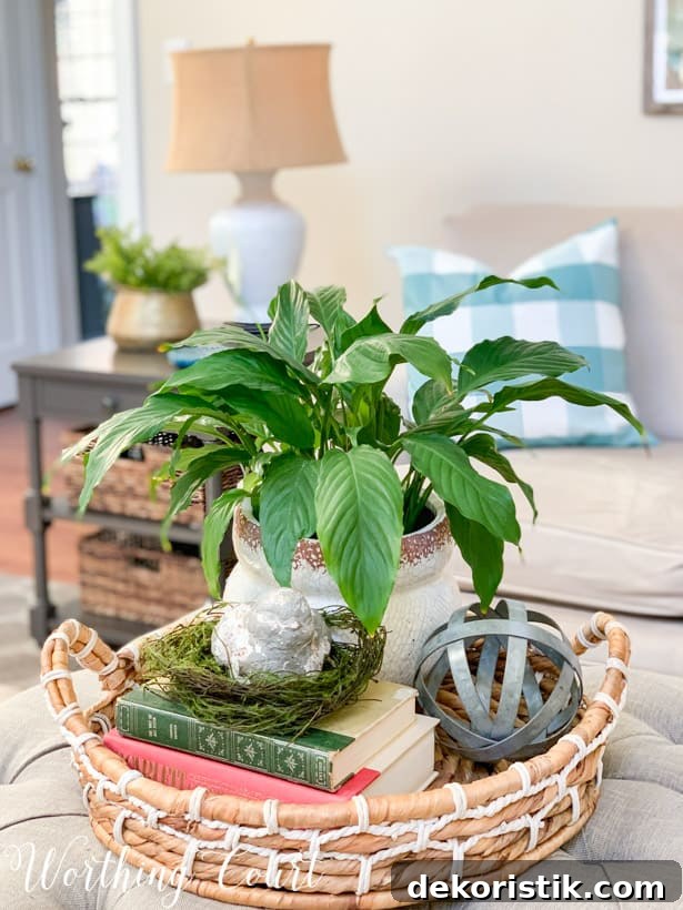 A potted green plant in a woven tray with decor items.