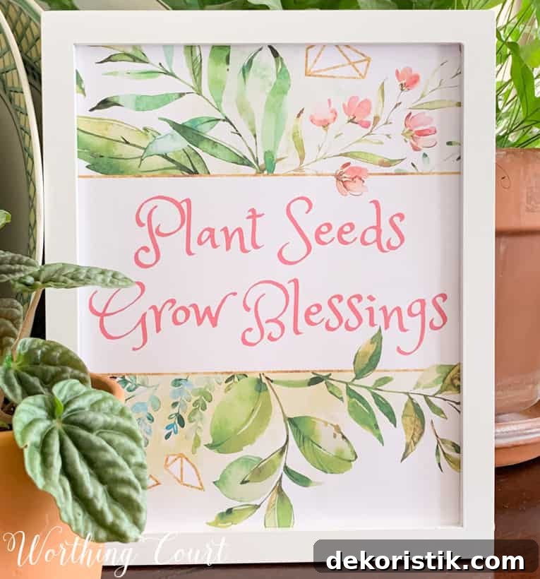Plant Seeds Grow Blessings graphic.