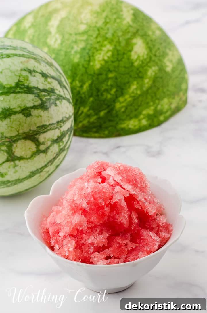 small white bowl filled with watermelon sorbet