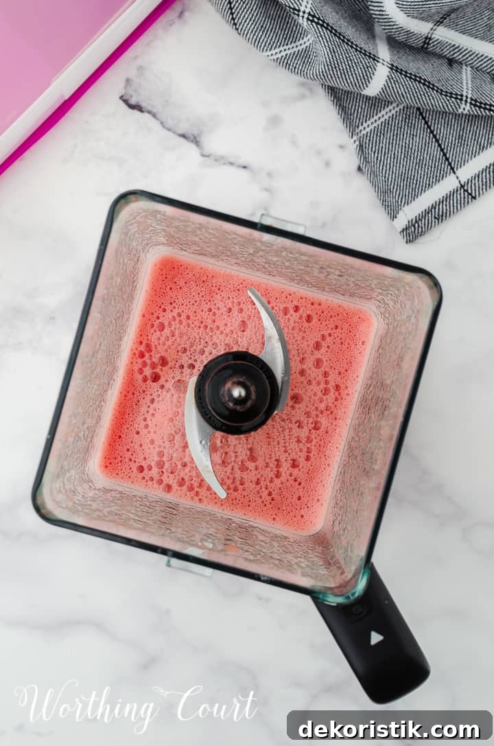 watermelon sorbet ingredients in a blender