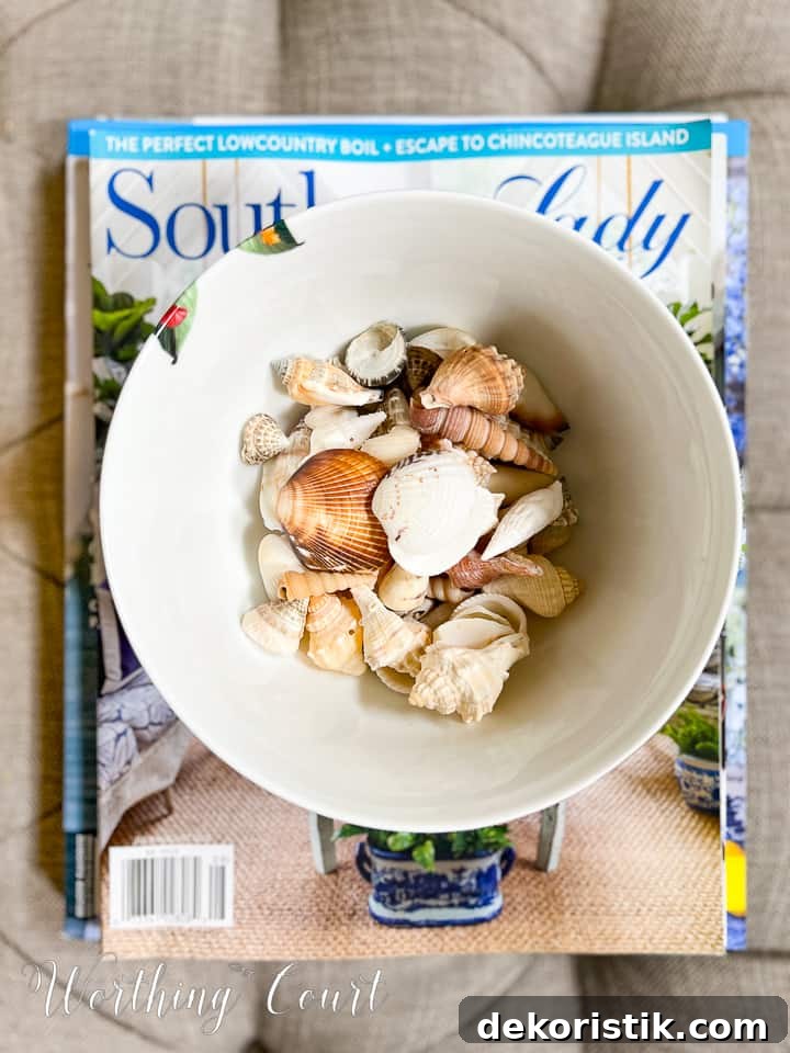 overhead view of a bowl filled with small seashells