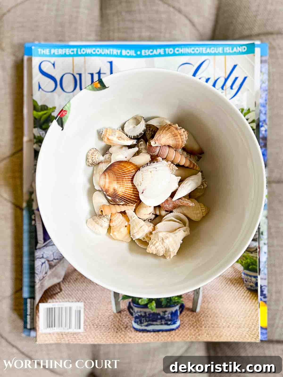 Coastal Home Decor Ideas to Transform Any Room 10 bowl filled with multiple seashells viewed from overhead