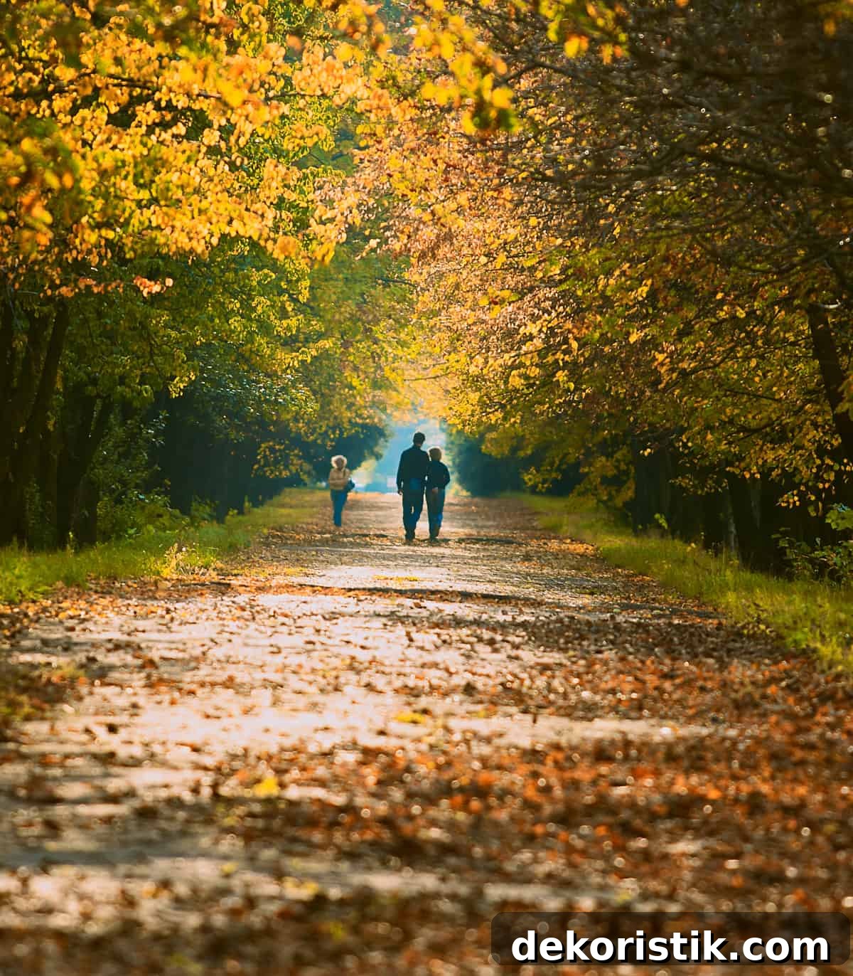 couple walking on a path in the woods on a fall day