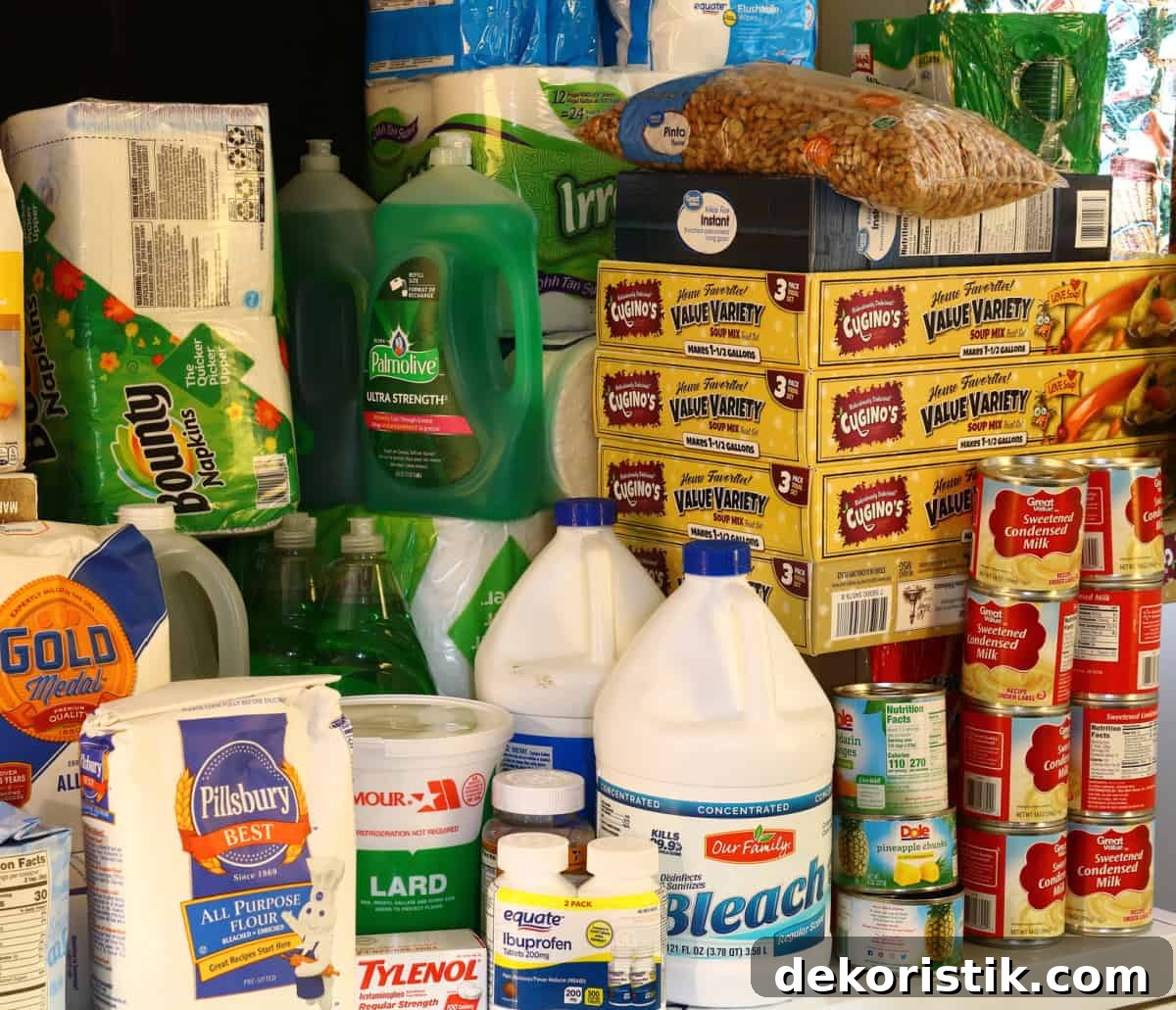 variety of food and cleaning supplies in a well stocked pantry