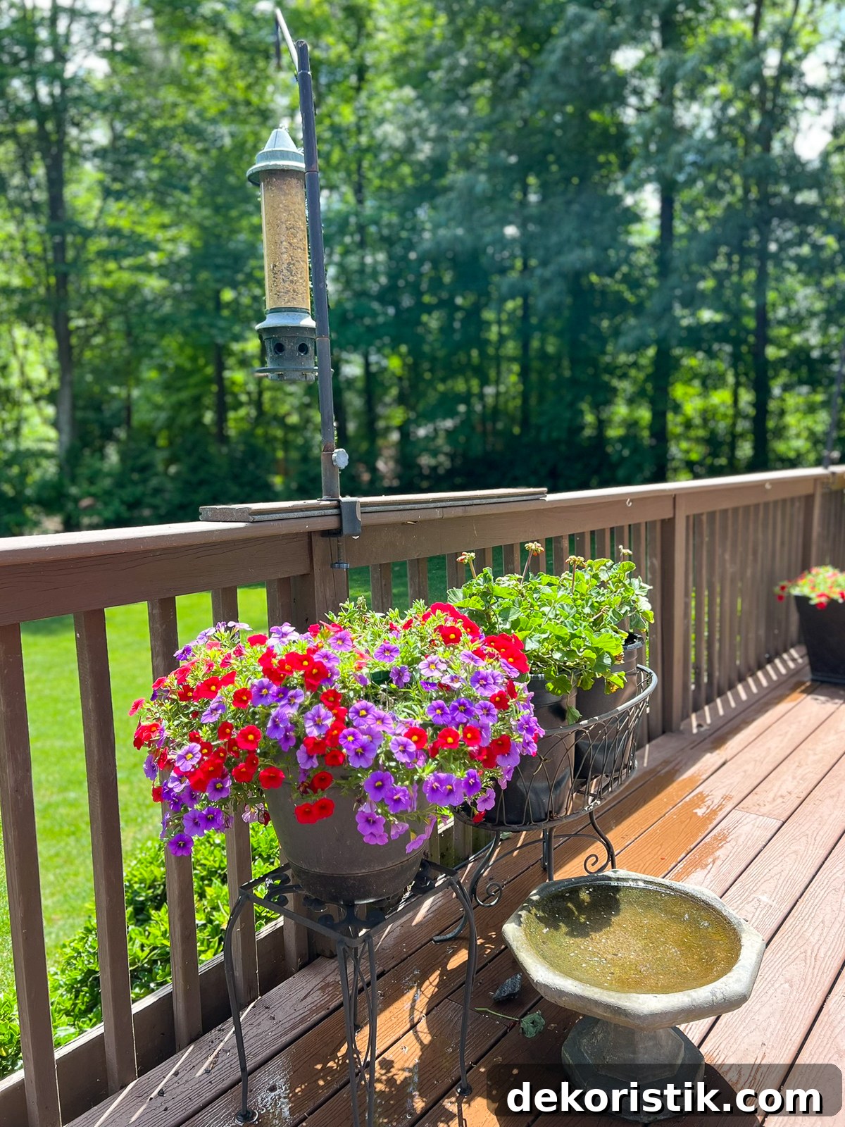 potted flowers on a deck underneath a birdfeeder hanging from a hook