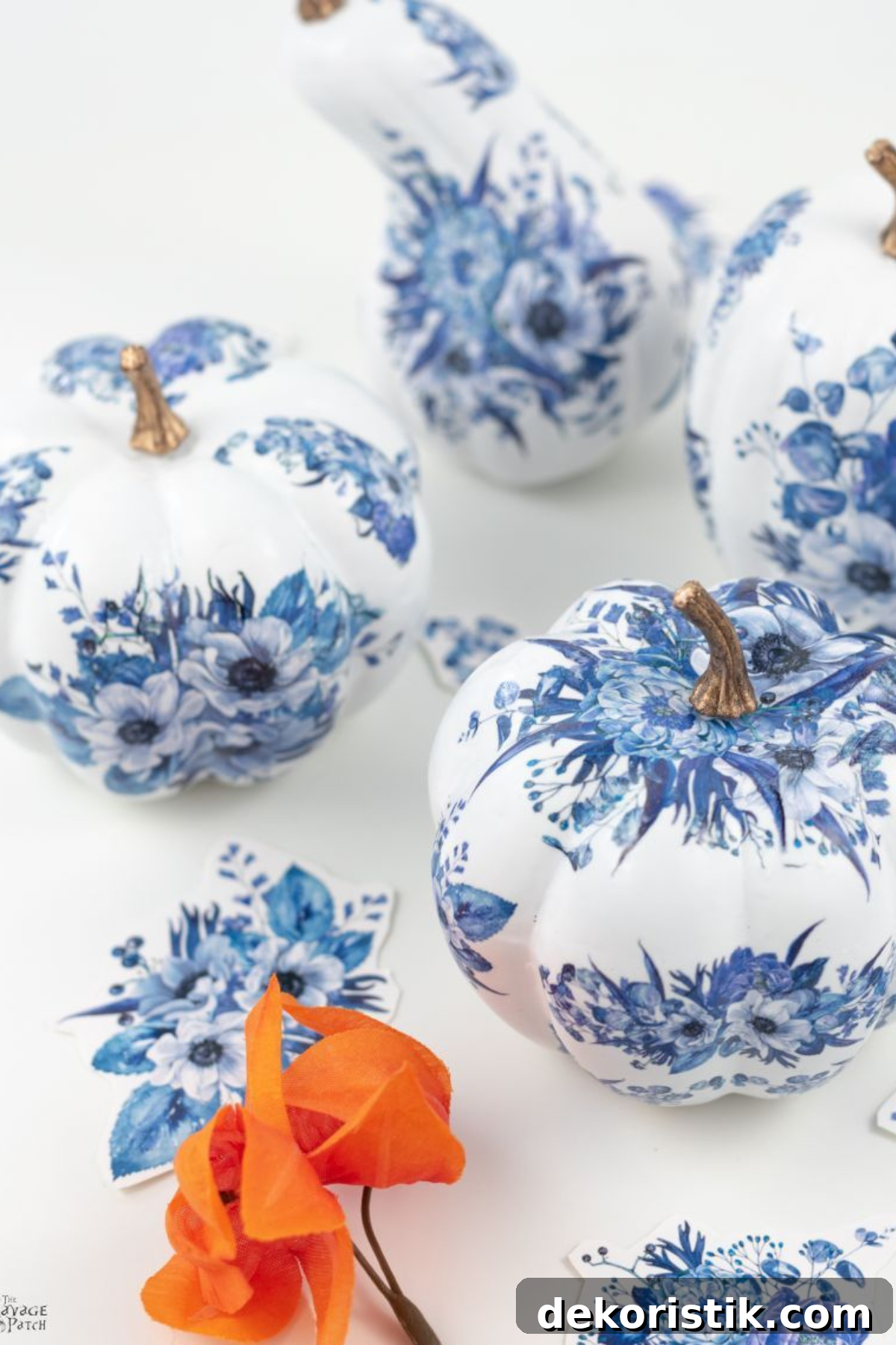 The Weekly Muse: Issue 11 — Trends & Highlights 8 img 41385 7