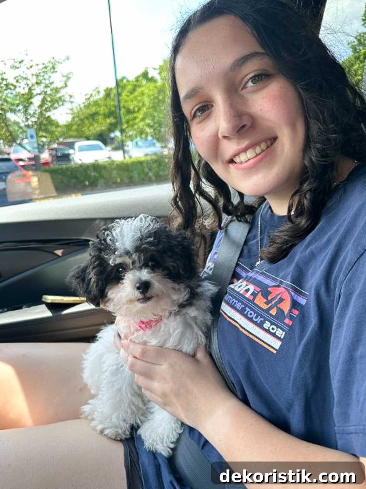 girl in a car holding a cute small black and white dog in her lap