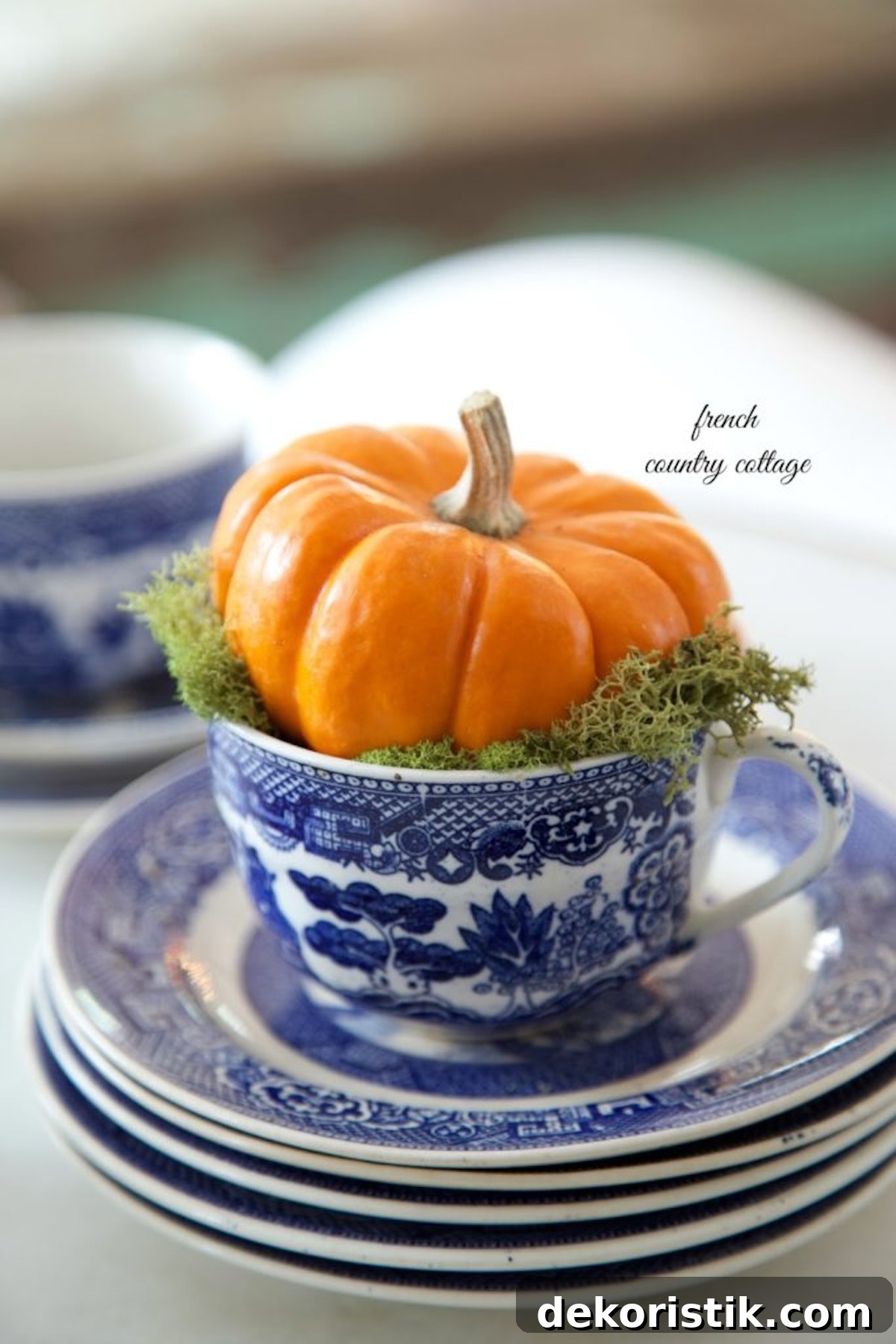 Creative vignette featuring baby pumpkins and autumn decor