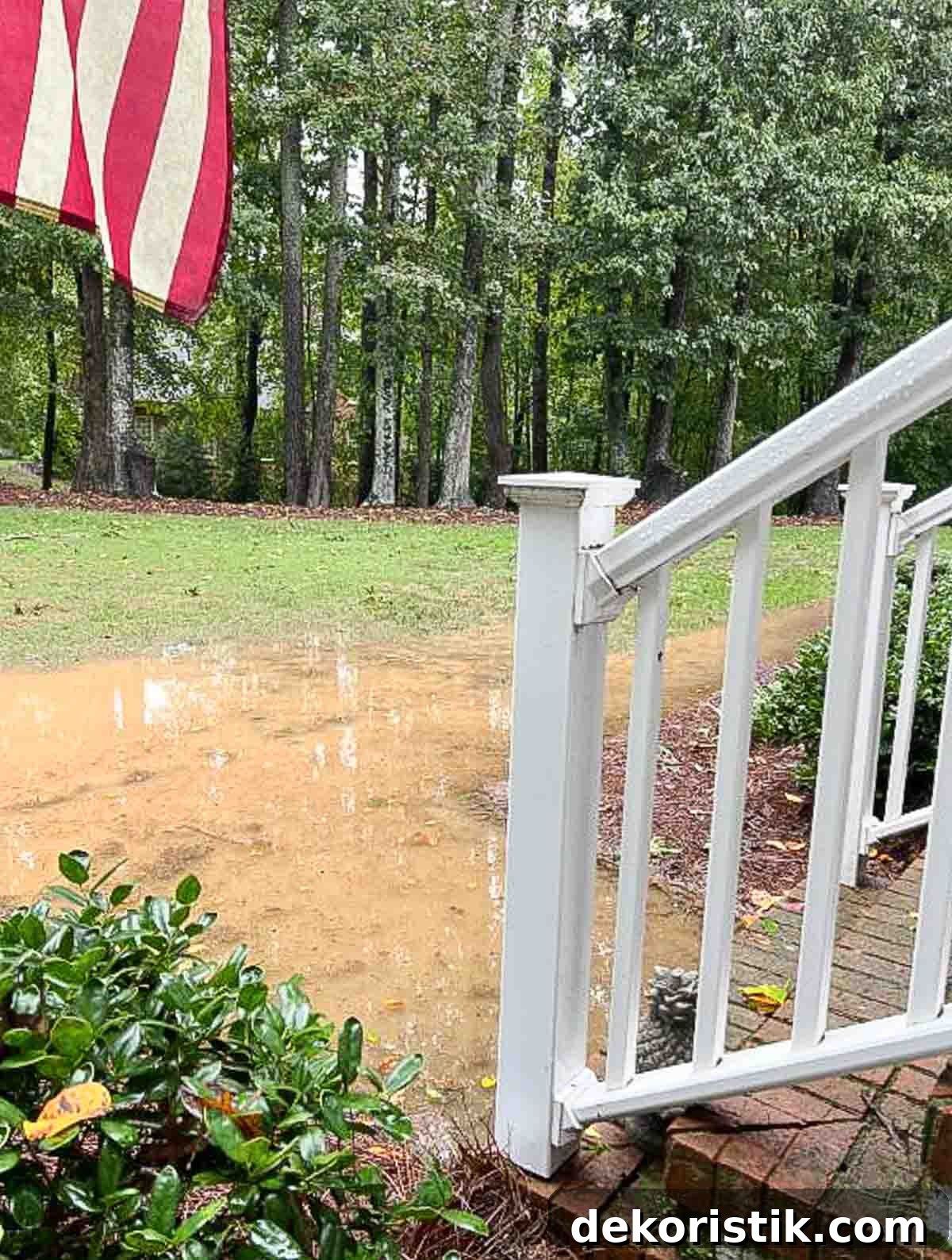 standing muddy water in a front yard