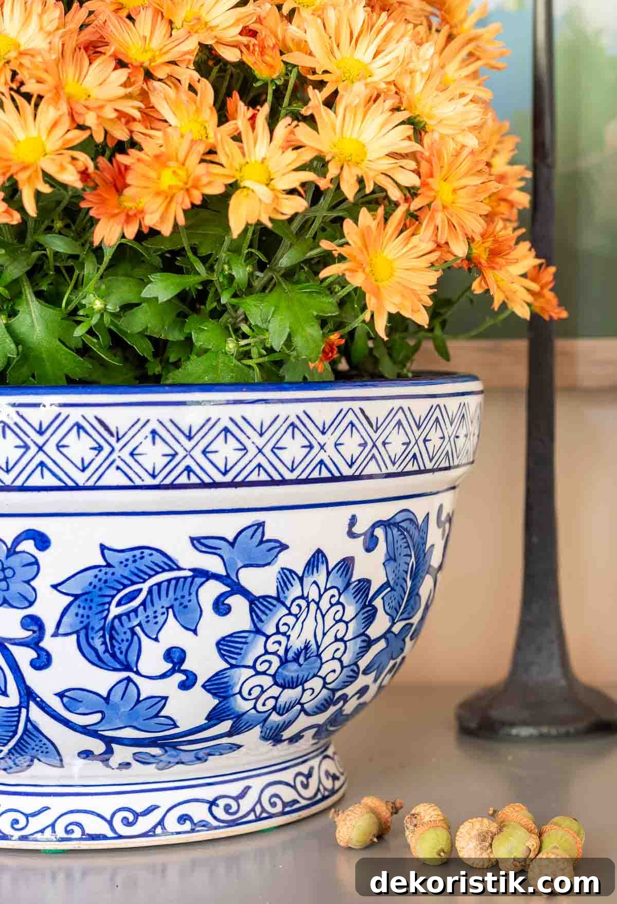 rust colored mum in a blue and white chinoiserie bowl for fall
