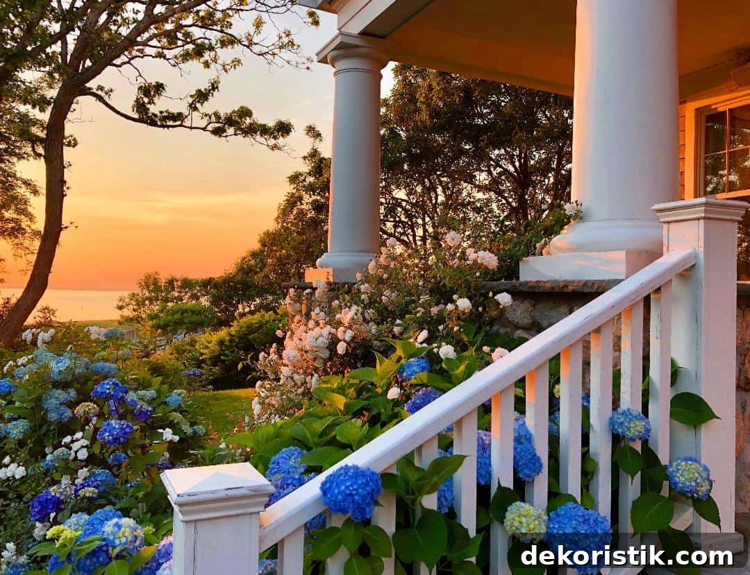 beautiful view from porch steps