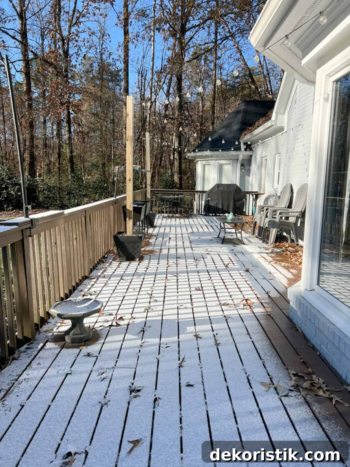 Weekly Muse Issue 28: Creative Trends and Highlights 3 snow on a deck