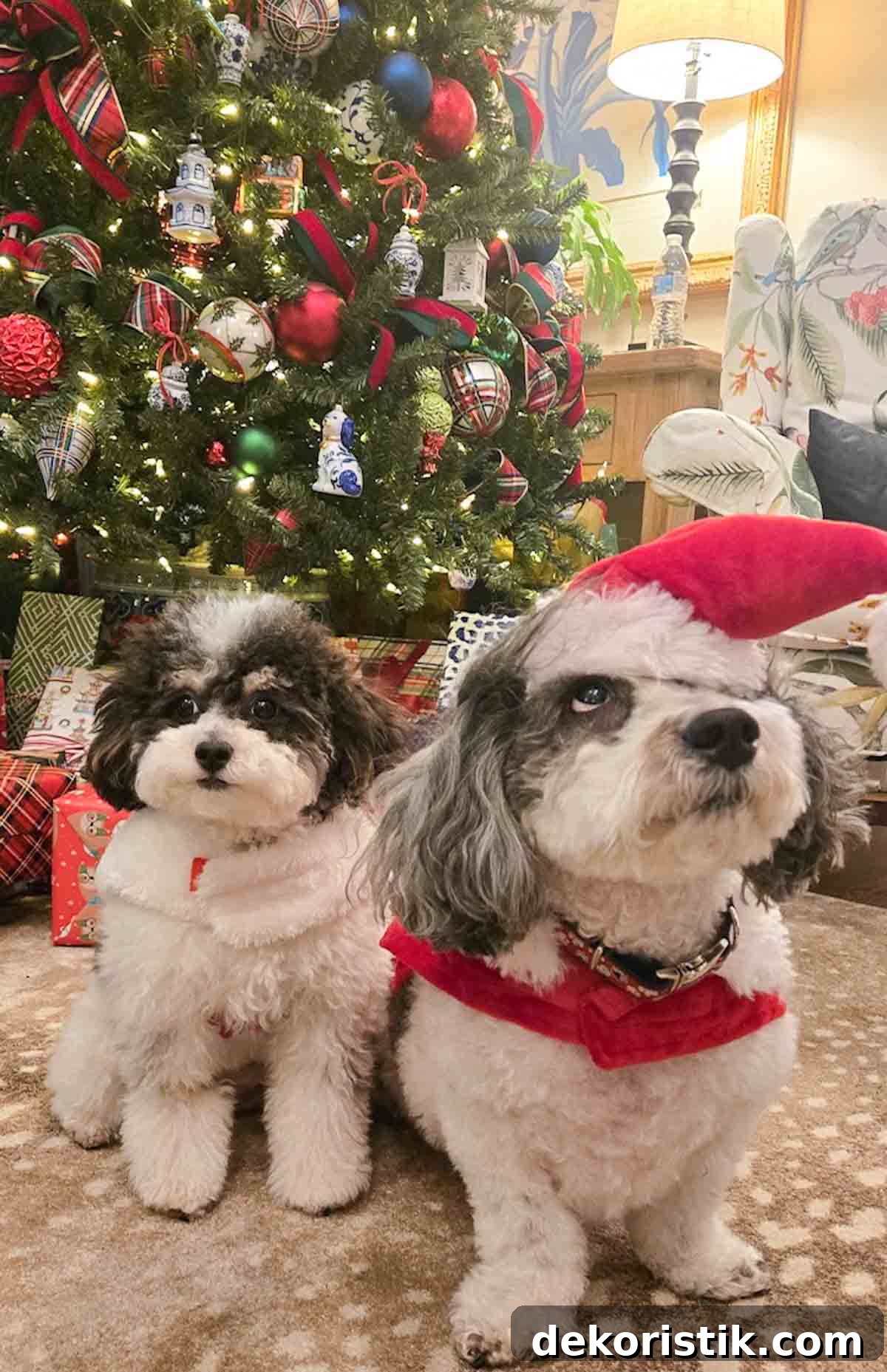 2 dogs in front of a Christmas tree