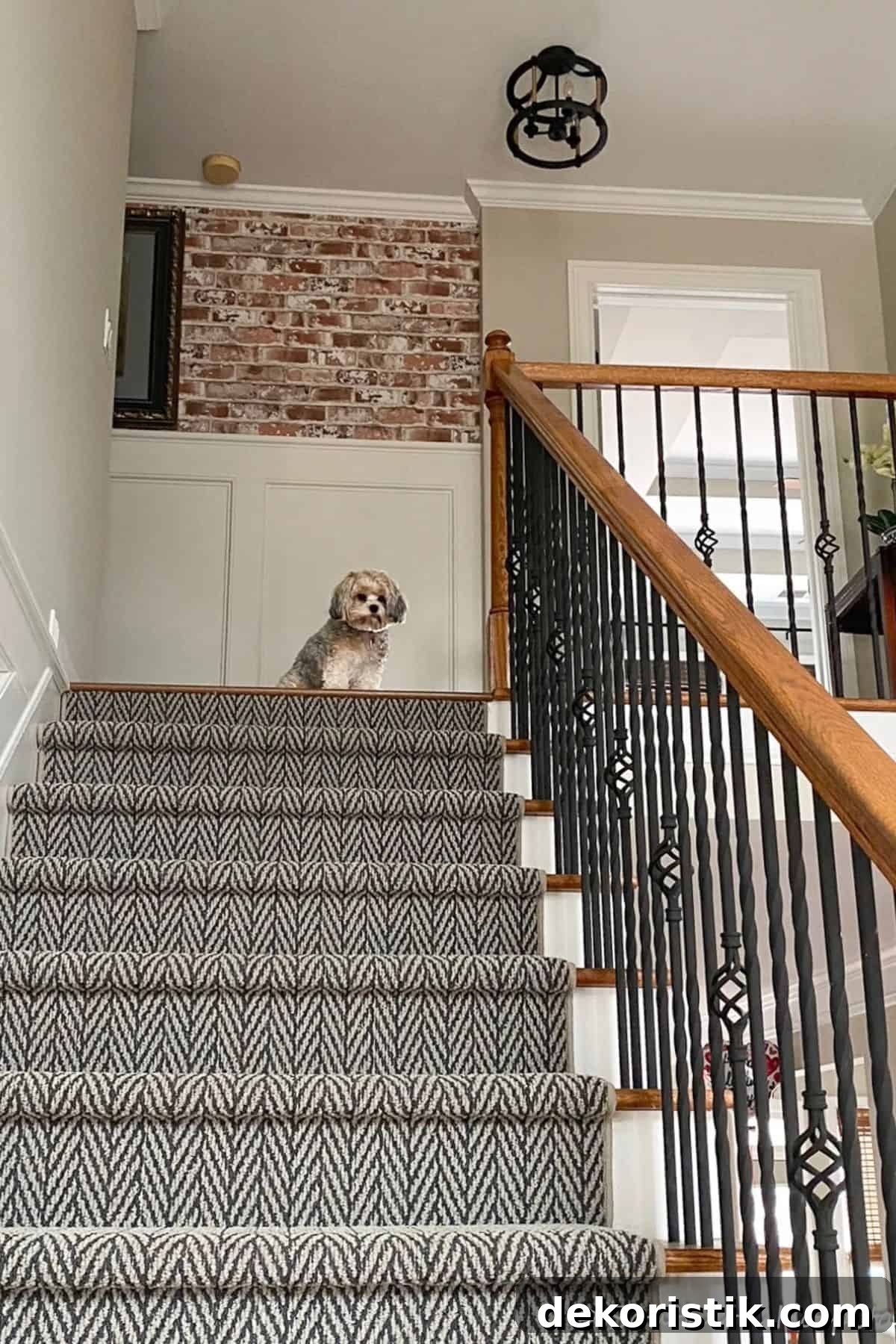 small dog sitting at the top of a carpeted stairway