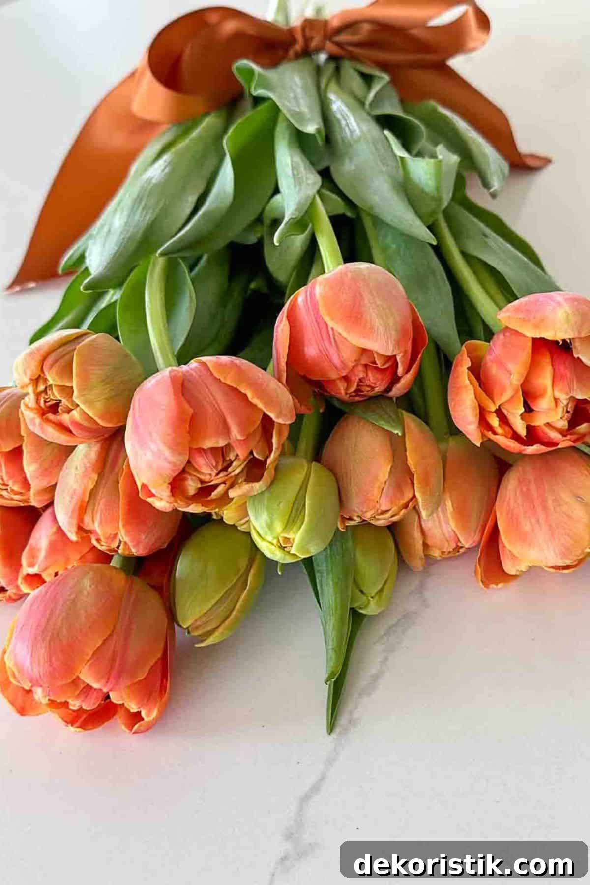coral colored cut tulips lying on a white counter