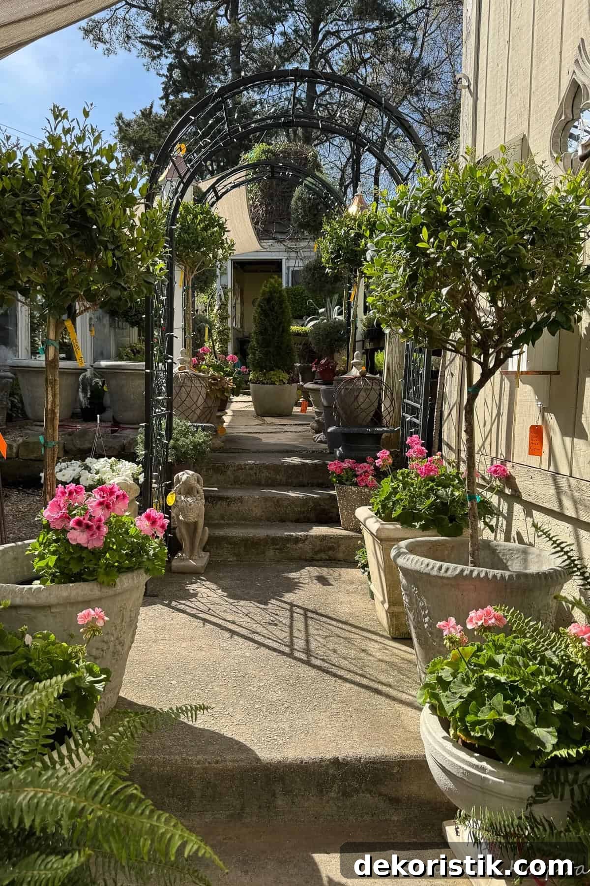 multiple types of concrete planters filled with flowers, boxwoods, and topiaries on an alleyway in a garden
