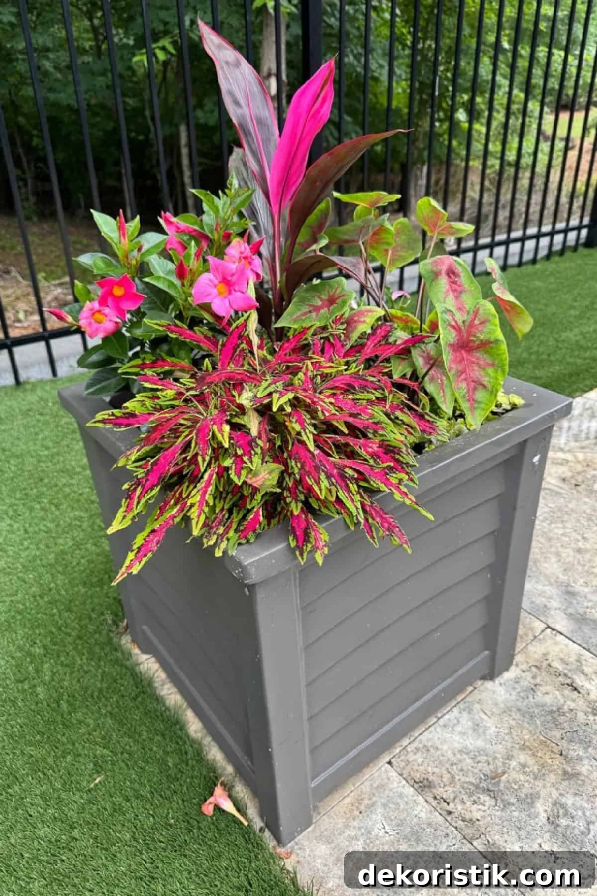 variety of pink and green plants and flowers in a square gray outdoor planter