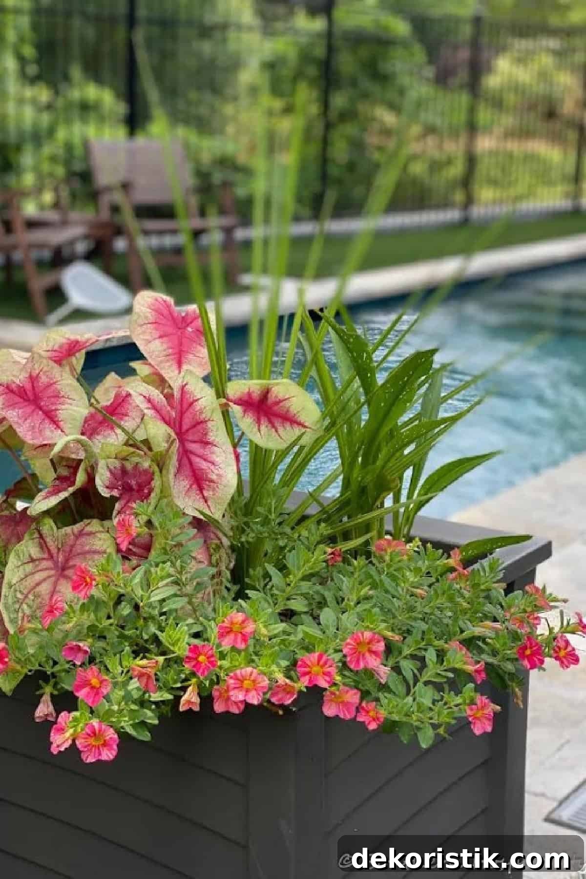 black container filled with pink and green flowers beside a swimming pool