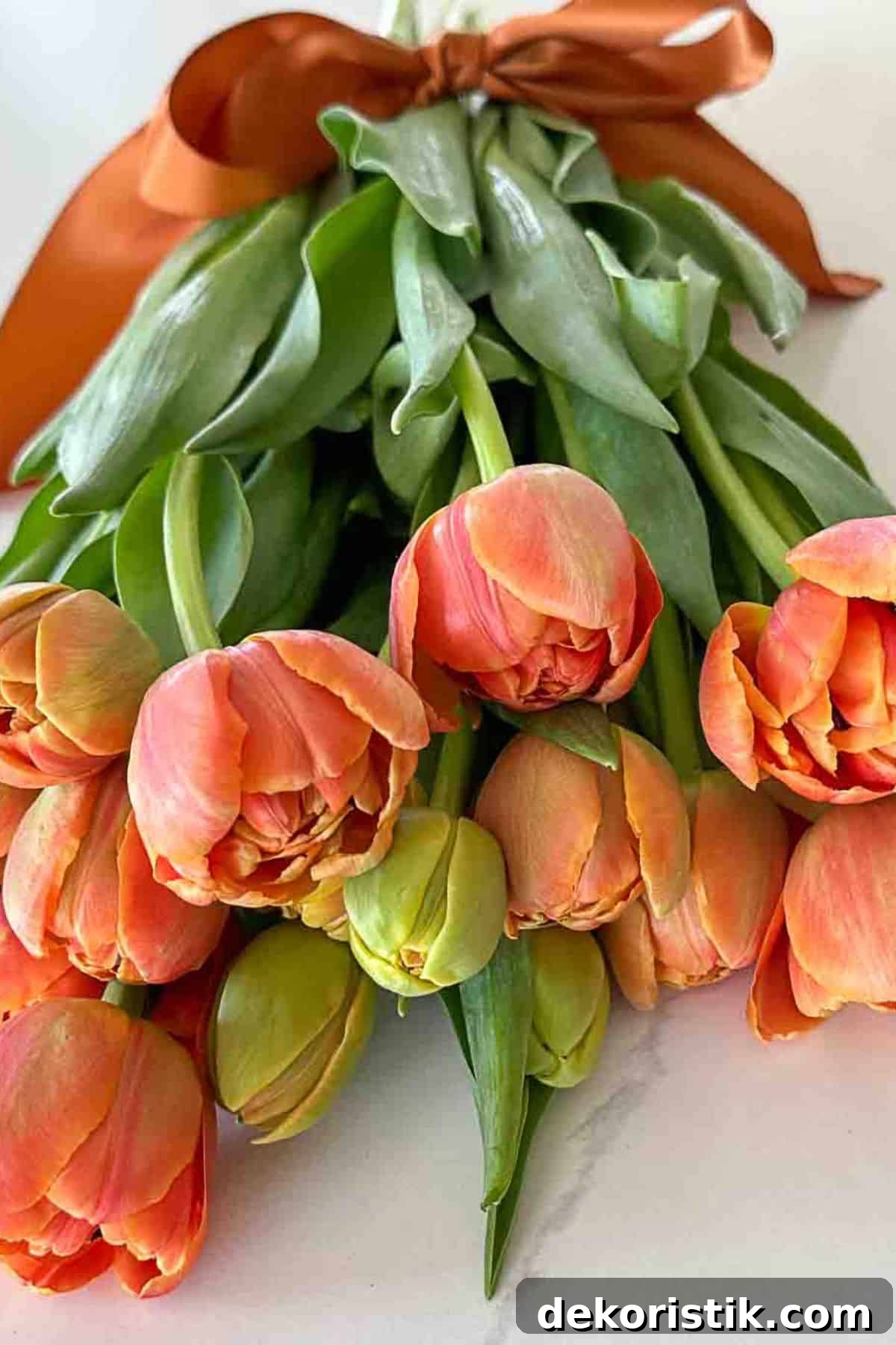 cut tulip care