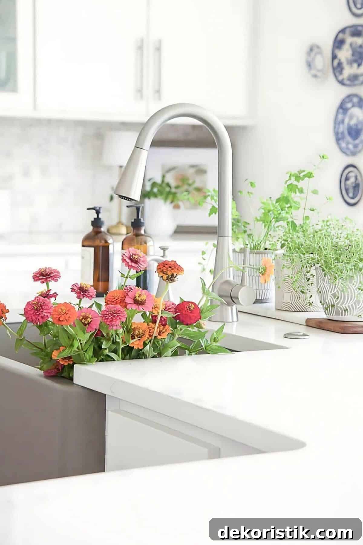 Kitchen Organization Tips