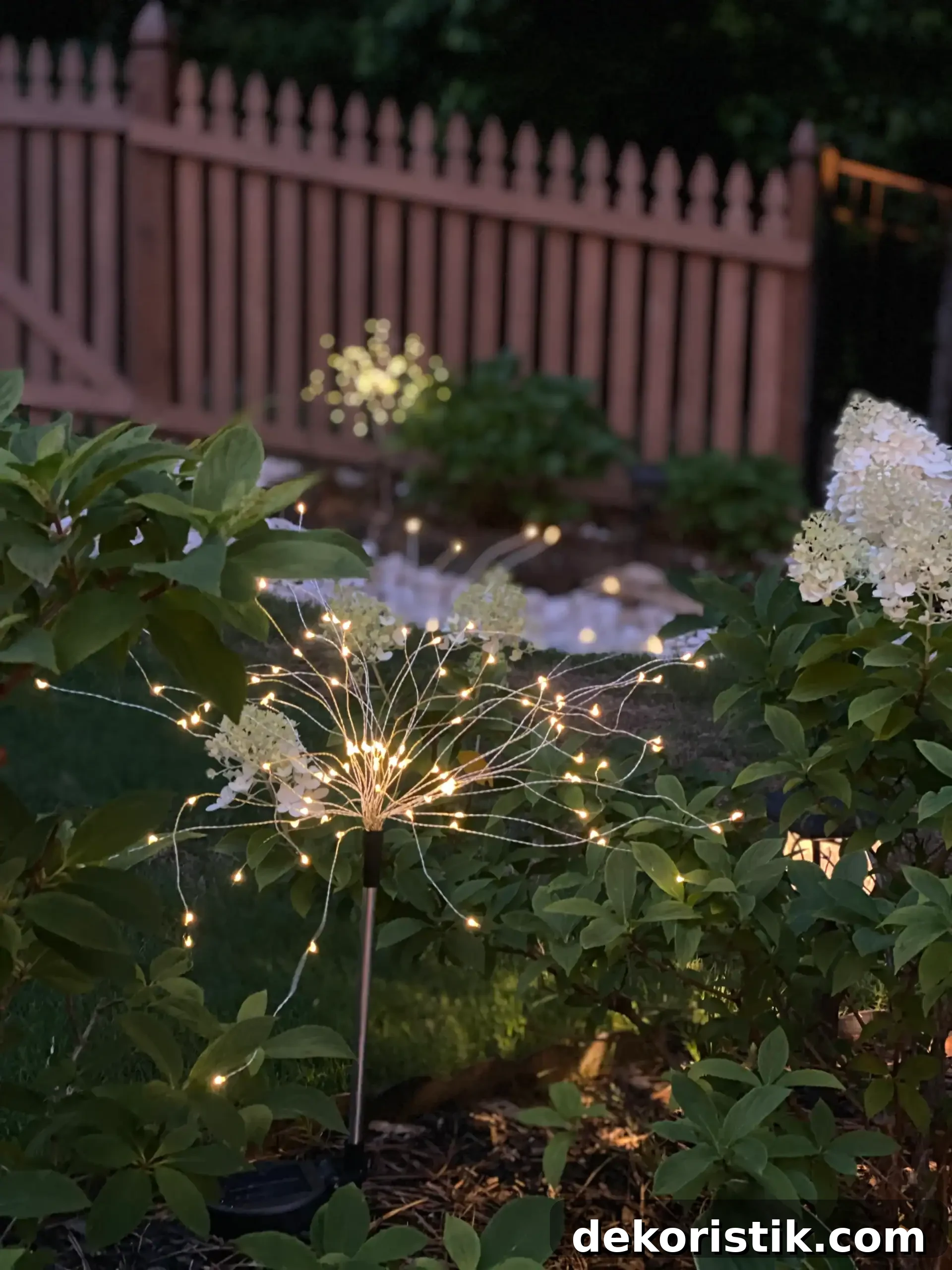 Backyard Lighting