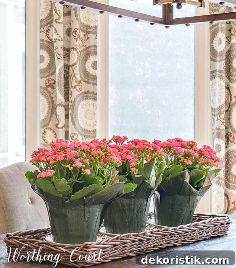 3 blooming grocery store plants in a long tray