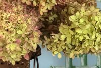 Fall Home Refresh: Cozy Decorating Tips